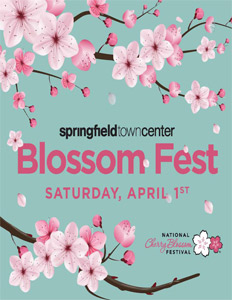 Blossom Festival Ad